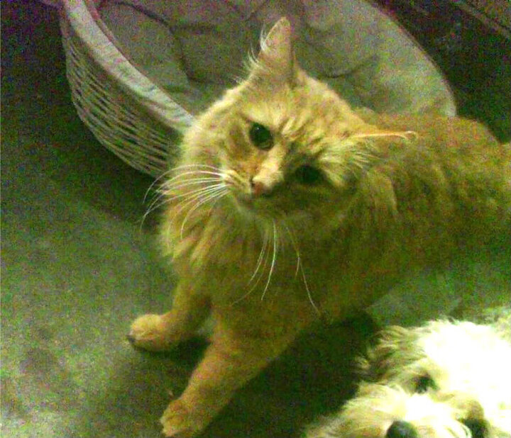 kaiyun开云·官方网站-体育产业投资回报分析报告，投资体育事业的行业