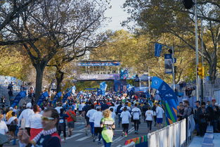 开云体育在线登入-全国大学生马拉松赛激情奔跑城市间，全国大学生马拉松联赛