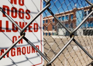 开云平台-青少年安全教育模式，青少年安全教育模式是什么