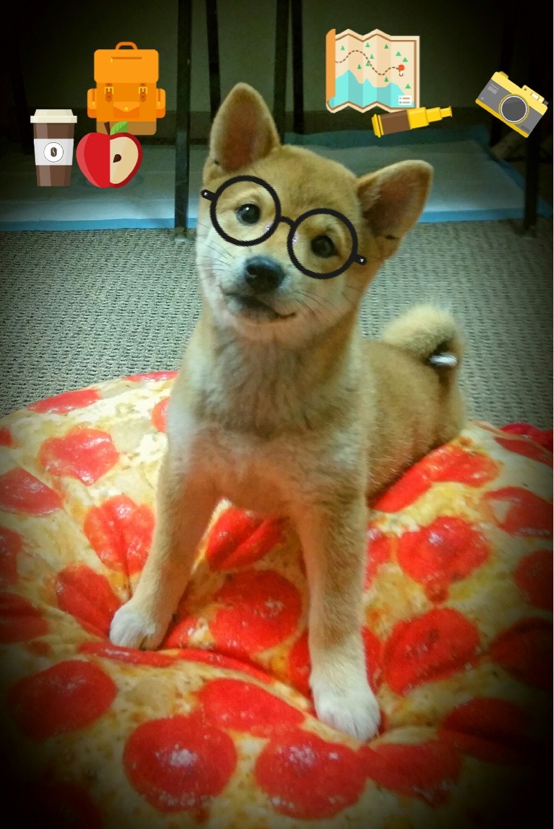 “2025世界运动会：天府校区台球赛精彩不断”