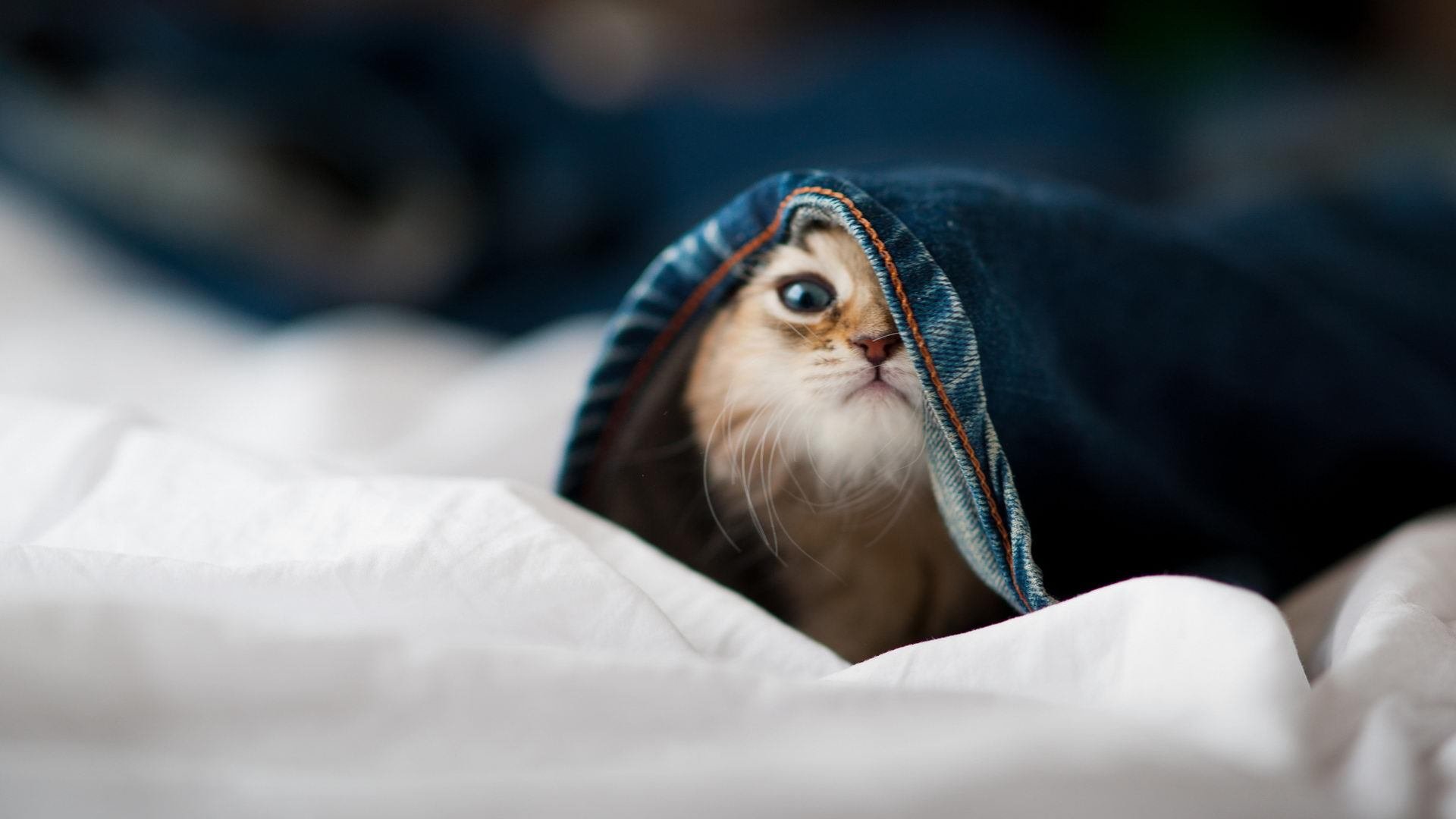 中国男篮强化篮板控制争抢第二落点，中国男篮又一巨无霸