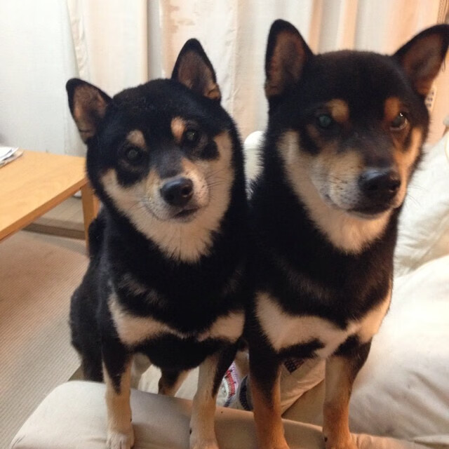 全国青少年足球挑战赛总决赛落地成都，全国青少年足球选拔赛