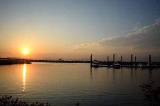 开云体育中国官网-千帆竞发，轻艇马拉松点亮湖滨赛场，赛艇马拉松多少公里