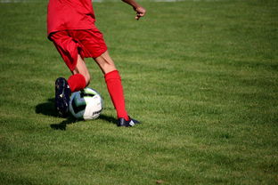 kaiyun开云·官方网站-CBA球队完善伤病防护体系保障运动员健康和职业生涯，cba球员伤情报告