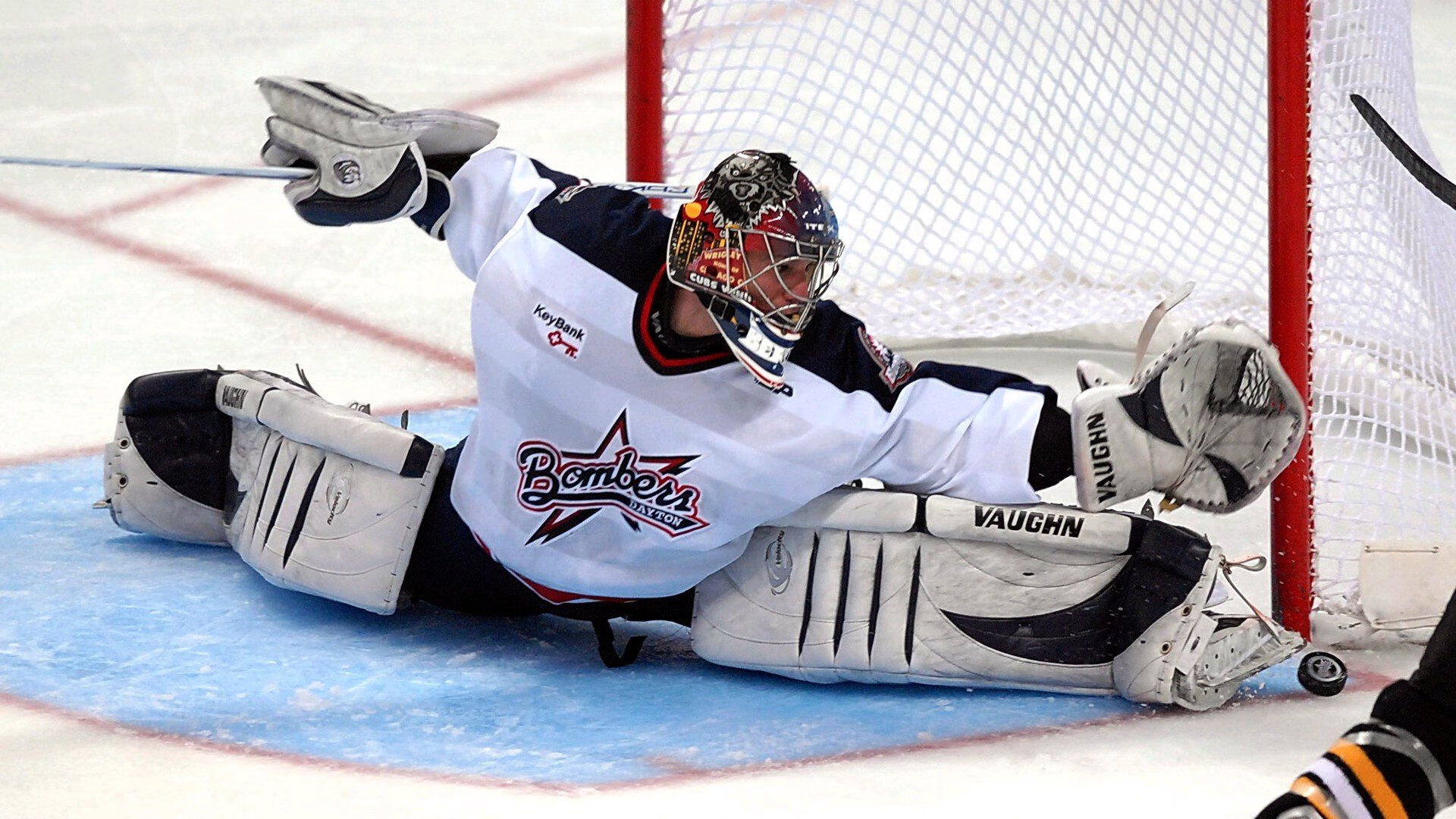 南非羚羊队：通过坚韧不拔的防守和迅猛的反击，他们称霸赛场，南非羚羊皮可以干嘛用